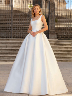 247 - Aralia_01_11A9167